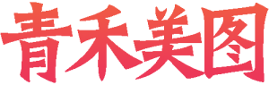 联系我们！-青禾美图！！！